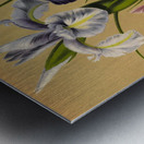 Album van Eeden : Haarlems flora : 1872-1881 Metal print