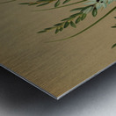 Album van Eeden : Haarlems flora : 1872-1881 Metal print