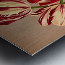 Album van Eeden : Haarlems flora : 1872-1881 Impression metal