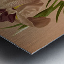 Album van Eeden : Haarlems flora : 1872-1881 Metal print