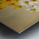 Album van Eeden : Haarlems flora : 1872-1881 Metal print