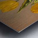 Album van Eeden : Haarlems flora : 1872-1881 Metal print