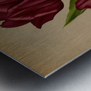 Album van Eeden : Haarlems flora : 1872-1881 Metal print