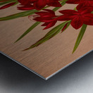 Album van Eeden : Haarlems flora : 1872-1881 Metal print