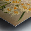 Album van Eeden : Haarlems flora : 1872-1881 Metal print