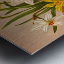 Album van Eeden : Haarlems flora : 1872-1881 Metal print