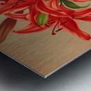 Album van Eeden : Haarlems flora : 1872-1881 Metal print