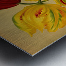 Album van Eeden : Haarlems flora : 1872-1881 Metal print