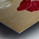 Album van Eeden : Haarlems flora : 1872-1881 Metal print