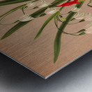 Album van Eeden : Haarlems flora : 1872-1881 Metal print