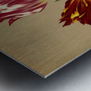 Album van Eeden : Haarlems flora : 1872-1881 Metal print