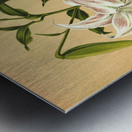 Album van Eeden : Haarlems flora : 1872-1881 Metal print