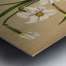 Album van Eeden : Haarlems flora : 1872-1881 Metal print