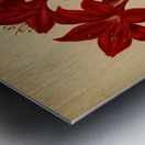 Album van Eeden : Haarlems flora : 1872-1881 Metal print