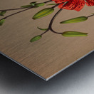 Album van Eeden : Haarlems flora : 1872-1881 Metal print