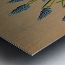 Album van Eeden : Haarlems flora : 1872-1881 Metal print