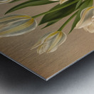 Album van Eeden : Haarlems flora : 1872-1881 Metal print