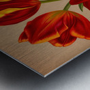 Album van Eeden : Haarlems flora : 1872-1881 Metal print