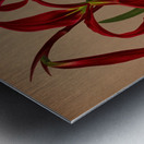 Album van Eeden : Haarlems flora : 1872-1881 Metal print