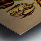 Album van Eeden : Haarlems flora : 1872-1881 Metal print