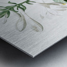 Daylily illustration  Metal print