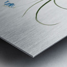 Brimeura illustration  Metal print