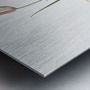 Lady tulip illustration  Metal print