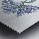 Lily of the Nile illustration  Metal print