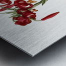 Lily illustration  Metal print