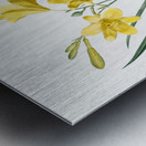 Daylily illustration  Metal print