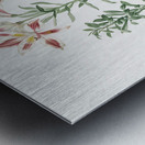 Lily of the Incas illustration  Metal print