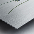 Snake head illustration  Metal print