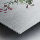 Lily of the Incas illustration  Metal print