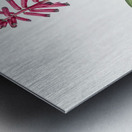 Lachenalia pendula illustration  Metal print