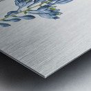 Daylily illustration  Metal print