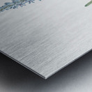 Ixia cepacea illustration  Metal print