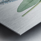 Pickerelweed illustration  Metal print