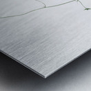 Diasia iridifolia illustration  Metal print