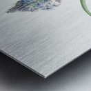 Portuguese squill illustration  Metal print