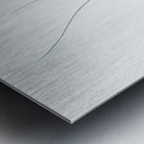 Crocus leaved romulea Ixia bulbocodium illustration  Metal print