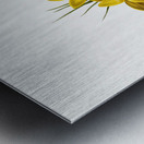 Crocus luteus illustration  Metal print