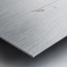 Leucoium trichophyllum illustration  Metal print