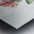 Blood lily illustration  Metal print