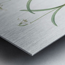 Snowdrop illustration  Metal print