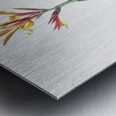 Indian shot illustration  Metal print