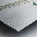 Eucomis punctata illustration  Metal print