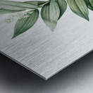 Smilacina stellata illustration  Metal print