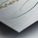 Hyacinthus serotinus illustration  Metal print