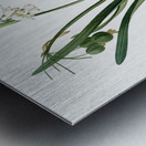 Summer snowflake illustration  Metal print