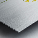 Wonder flower illustration  Metal print